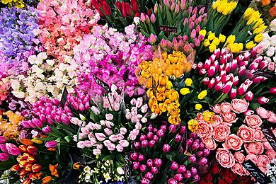 《暗黑破坏神4》广告牌被人指责：会让小孩做恶梦