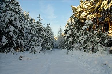 《双截龙外传：龙之崛起》新预告展示合作玩法及新角色